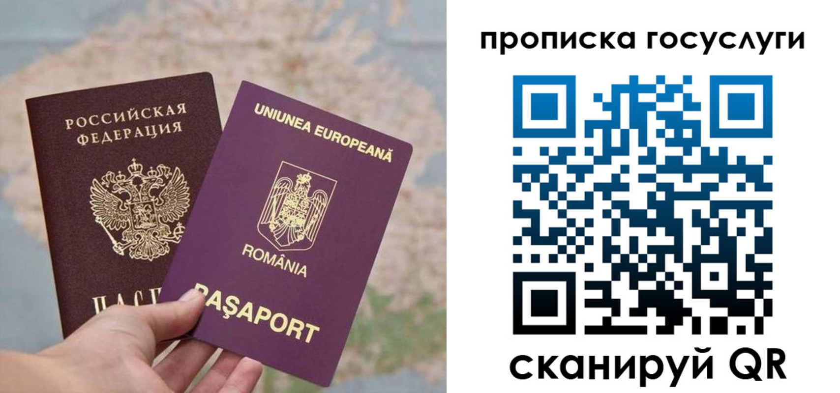 прописка паспорт в Заринске